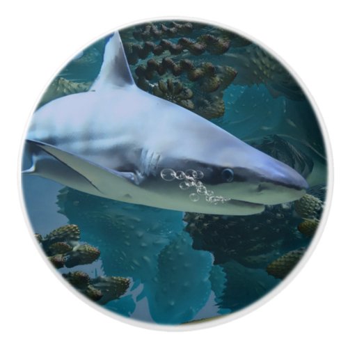 Shark power ceramic knob
