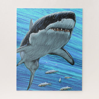Shark Puzzle