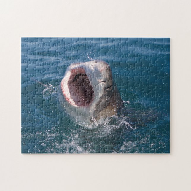 Shark Puzzle (Horizontal)