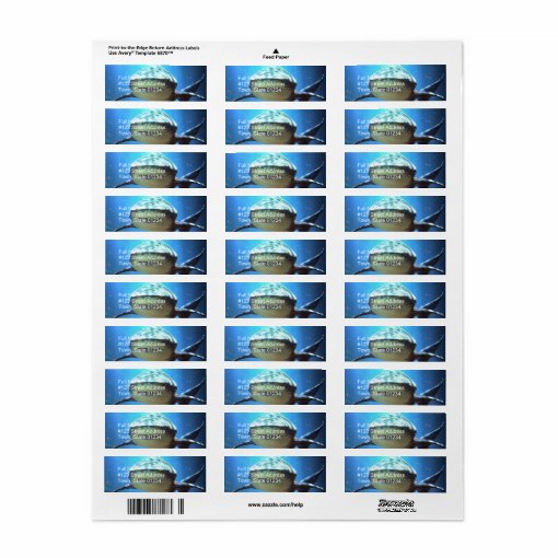 Shark Return Address Label Zazzle