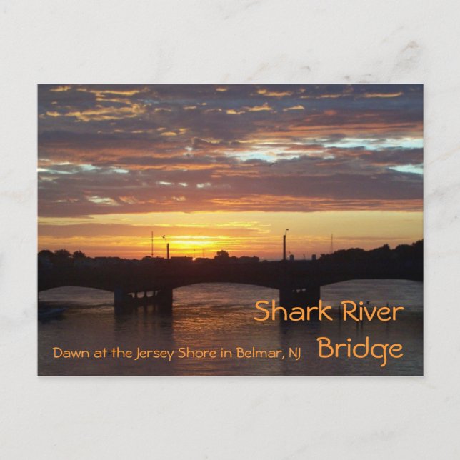 Shark River Bridge Postcard (Front)