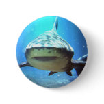 Shark Round Pin