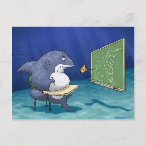Shark School Postcard