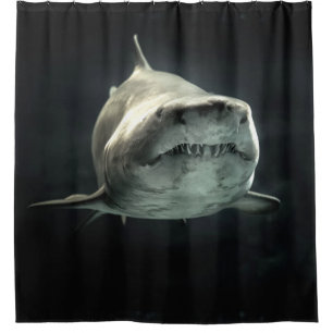 Shark Shower Curtain