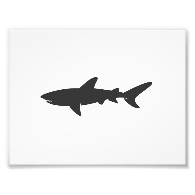 Shark silhouette - Choose background color Photo Print (Front)