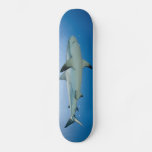 Shark Skateboard at Zazzle