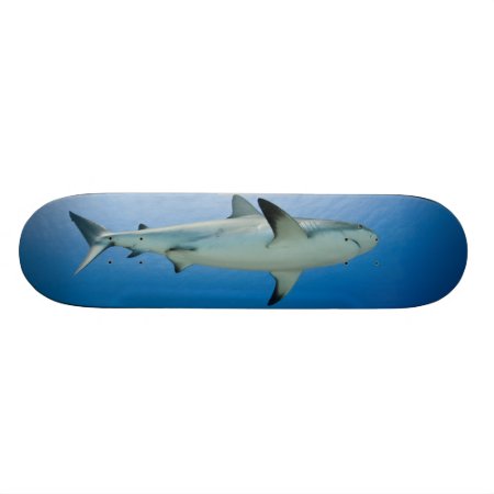 Shark Skateboard