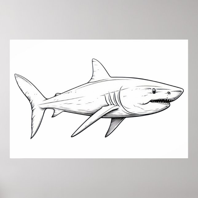 Shark sketch poster (Front)