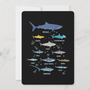 Shark Species Shark Faces Marine Biology Invitation