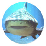 Shark Stickers