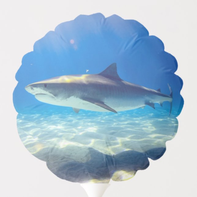 Shark Swimming Blue Ocean Water Balloon (Back)