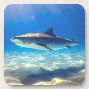 Shark Swimming Blue Ocean Water Beverage Coaster