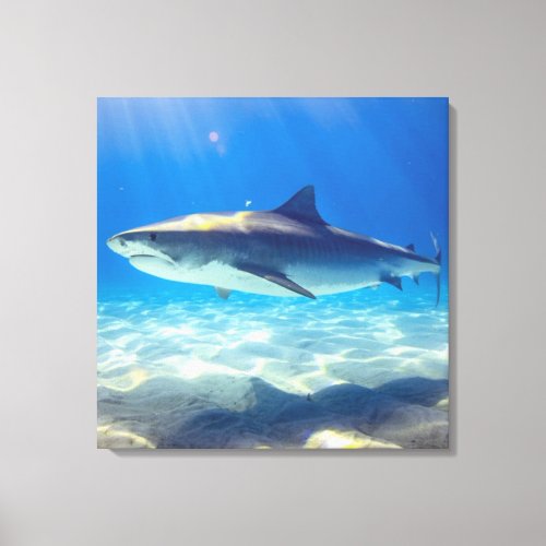 Shark Swimming Blue Ocean Water Canvas Print