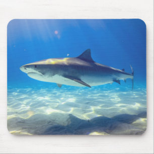 Shark Swimming Blue Ocean Water Mouse Pad