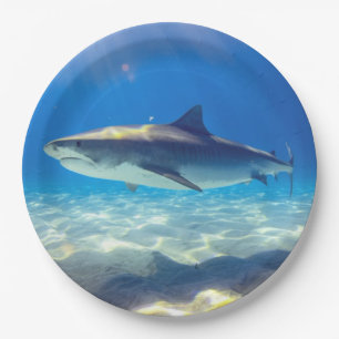 Shark Swimming Blue Ocean Water Paper Plates