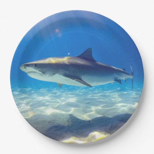 Shark Swimming Blue Ocean Water Paper Plates