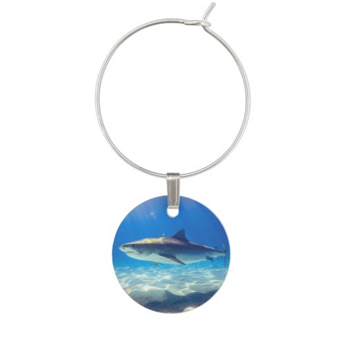 Shark Swimming Blue Ocean Water Wine Charm