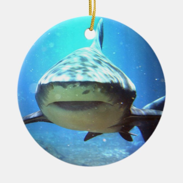 Shark Swimming Ornament (Front)