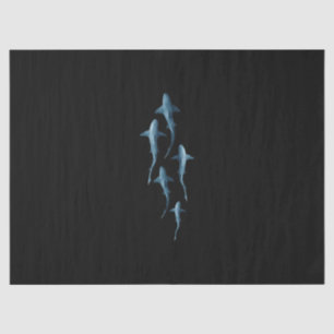 Shark - Swimming Sharks Cute Funny Gift Tissue Paper