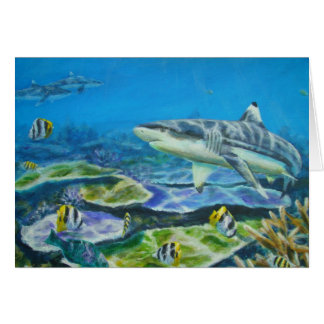 shark tahiti cards