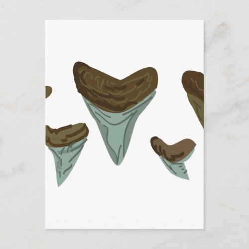 Shark Teeth Postcard