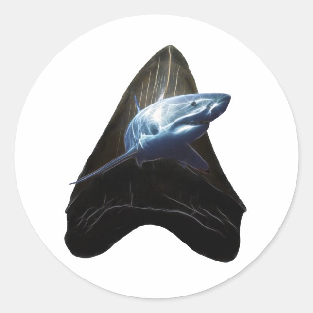 Shark Tooth Classic Round Sticker (Front)