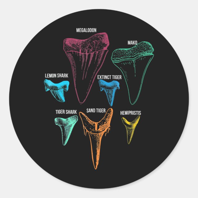 Shark Tooth Hunting - Crazy Shark Gifts Classic Round Sticker (Front)