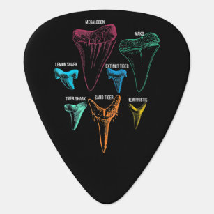 shark tooth guitar pick