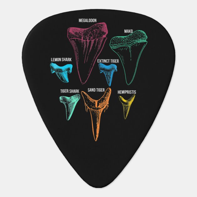 Shark tooth deals guitar pick