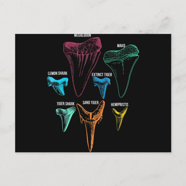 Shark Tooth Hunting - Crazy Shark Gifts Holiday Postcard (Front)