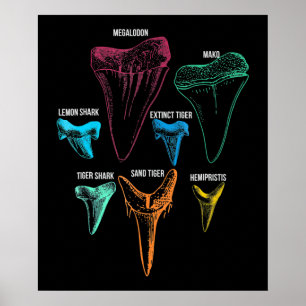 Shark Tooth Hunting - Crazy Shark Gifts Poster