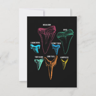Shark Tooth Hunting - Crazy Shark Gifts Thank You Card