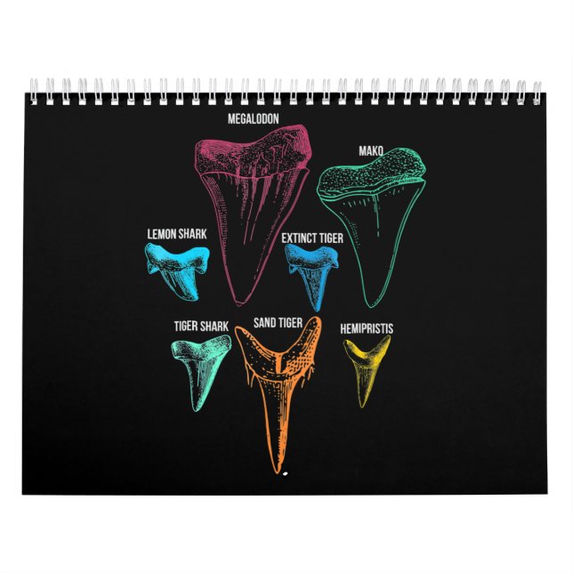 Shark Tooth Hunting Identity Key Calendar (Cover)