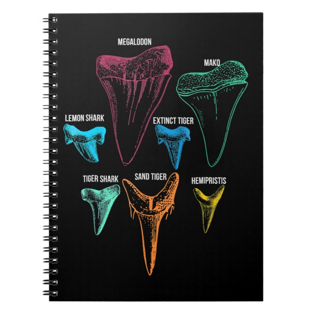 Shark Tooth Hunting Identity Key Notebook (Front)