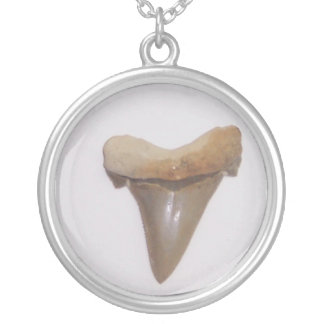shark tooth necklace