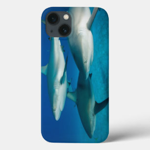 Shark Trio iPad Case