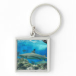 Shark with Reef  Keychain