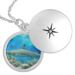 Shark with Reef Locket
