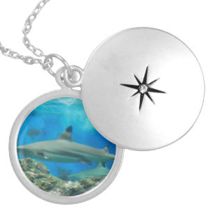 Shark with Reef Locket