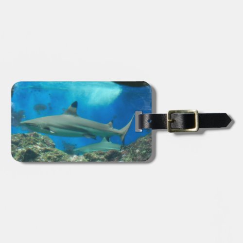 Shark with Reef  Luggage Tag