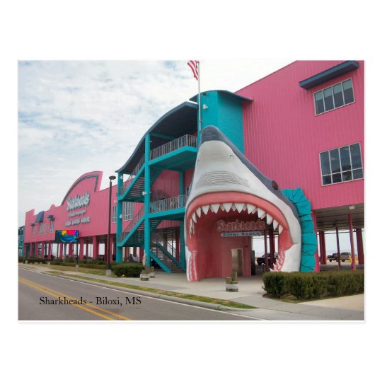 Sharkheads Souvenir Shop Biloxi MS Postcard