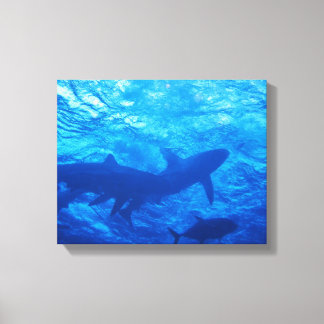 Sharks at the Blue Hole Canvas Print