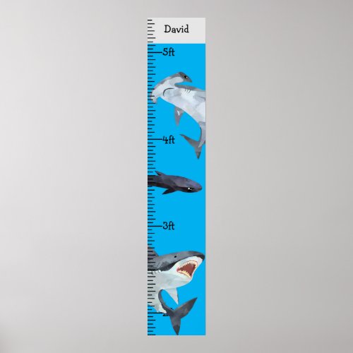 Sharks Boy Name Growth Chart Personalized