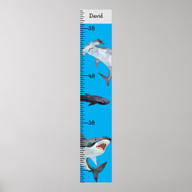Sharks Boy Name Growth Chart Personalized (Front)
