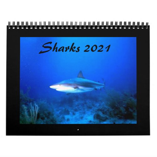 Sharks Calendar 2021