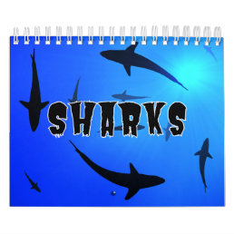Sharks Collection Showcase Wall Calendar