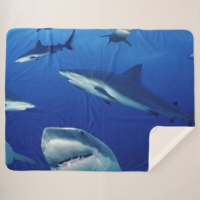 SHARKS EVERYWHERE SHERPA BLANKET (Front (Horizontal))
