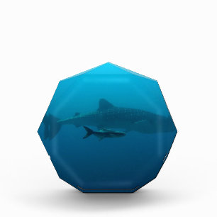 Sharks Fish Ocean Water Tropical Beach Peace Love Acrylic Award
