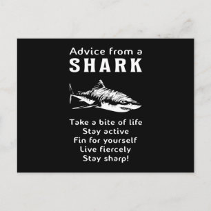Sharks Fish Sea Shark Fin Ocean Funny Gift Idea Postcard