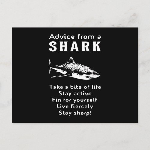 Sharks Fish Sea Shark Fin Ocean Funny Gift Idea Postcard